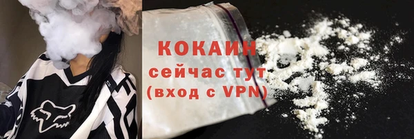 мдпв Богданович