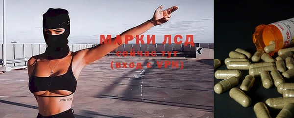 ALPHA PVP Богородицк