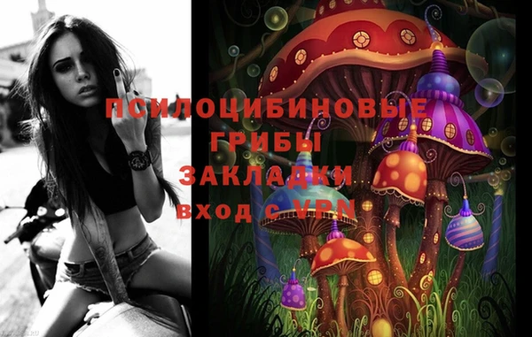 ALPHA PVP Богородицк