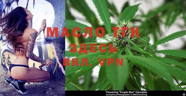 мдпв Богданович