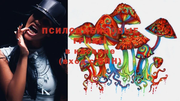 ALPHA PVP Богородицк