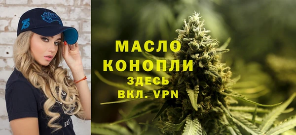 мдпв Богданович