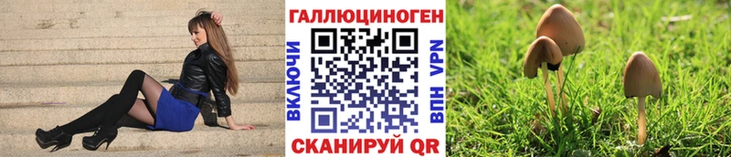 Псилоцибиновые грибы мухоморы  KRAKEN ТОР  Реж  где купить  